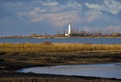 Chantry Island Lighthouse in the Morning 